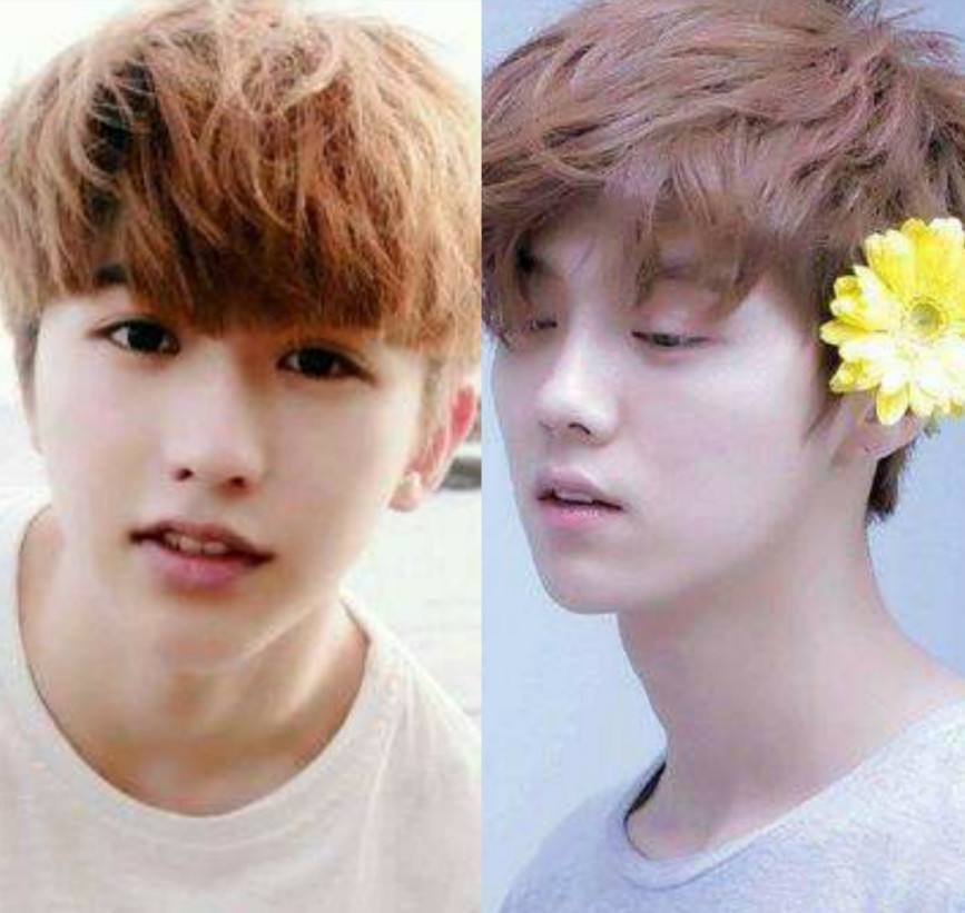 七大卫视跨年节目单:鹿晗蔡徐坤将同台,贾乃亮首次跨年伤情独唱