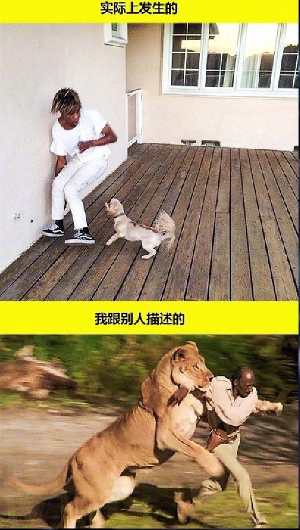 网络上那些让你忍不住笑的沙雕图