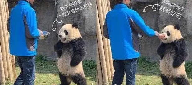最近