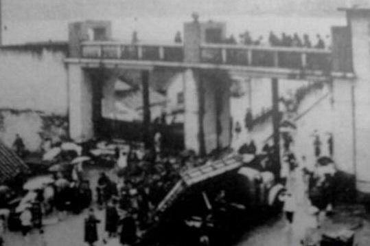 揭秘中国八三年蛇灾,真相让你意外