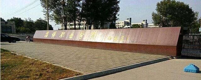 山东三本大学分排名%_山东大学2020年本科一批分专业录取分数统计(河南、