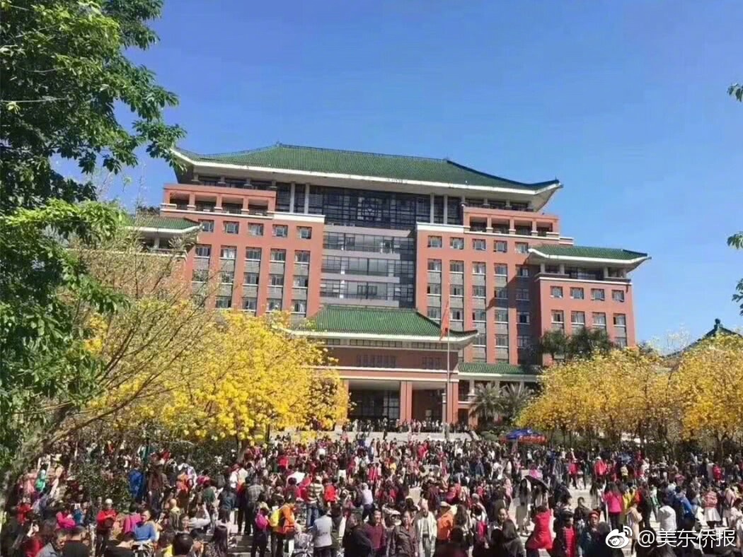富二代大战酒店高颜值，在线视频与剧情介绍