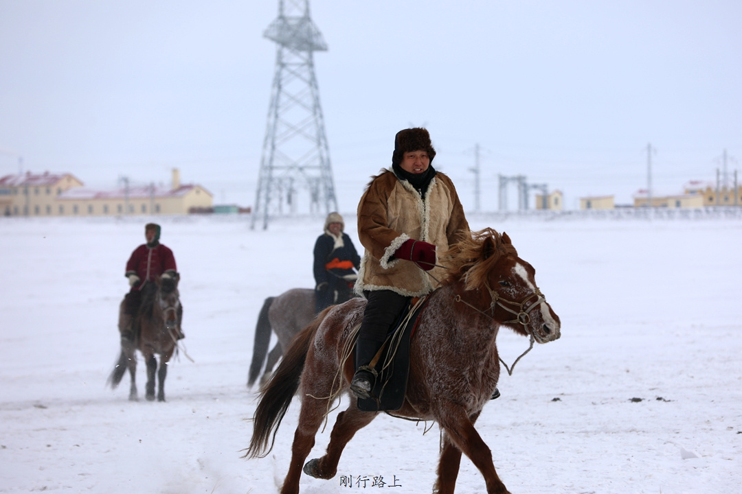 冬日里的蒙古马叱咤风云在白色的呼伦贝尔草原上