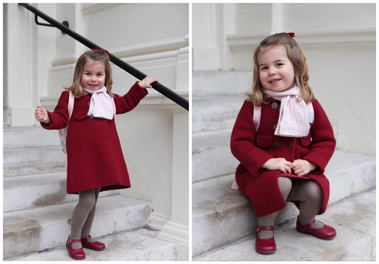 夏洛特小公主图片