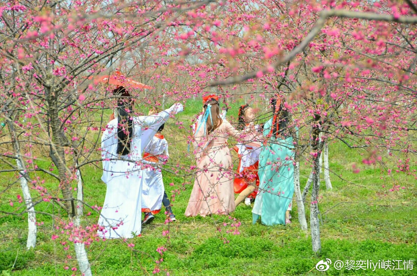 三月，春光明媚，陽光正好