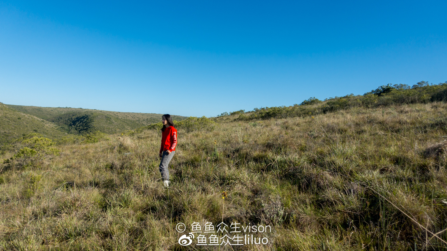 干货 | 南非，我遇见的狂野与温柔