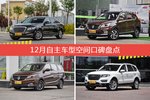 12月自主车型空间好评车型盘点