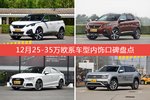12月25-35万欧系车型内饰口碑数据揭晓，大家偏爱哪些车？