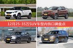 标致5008/标致4008等，12月25-35万SUV车型内饰口碑汇总