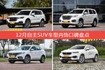 哈弗H7/哈弗H9等，12月自主SUV车型内饰口碑汇总