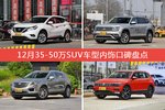 楼兰/途昂等，12月35-50万SUV车型内饰口碑汇总