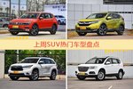 SUV车型中，途观关注度最高