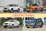 自主车型中，哈弗H6关注度最高