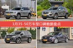想买35-50万车型，看看口碑排行榜再决定吧！