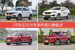 1月自主SUV车型外观口碑数据揭晓，大家偏爱哪些车？