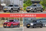 SUV车型车主综合评分排行榜，途昂登顶！