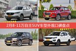 2月8-11万自主SUV车型外观好评车型盘点
