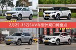 荣威eRX5新能源/标致5008等，2月25-35万SUV车型外观口碑汇总