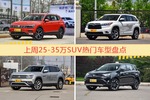 25-35万SUV车型中，途观关注度最高