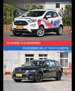 价格相同风格迥异 翼搏与明锐选谁更适合