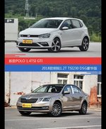 价格相同风格迥异 POLO与明锐选谁更适合