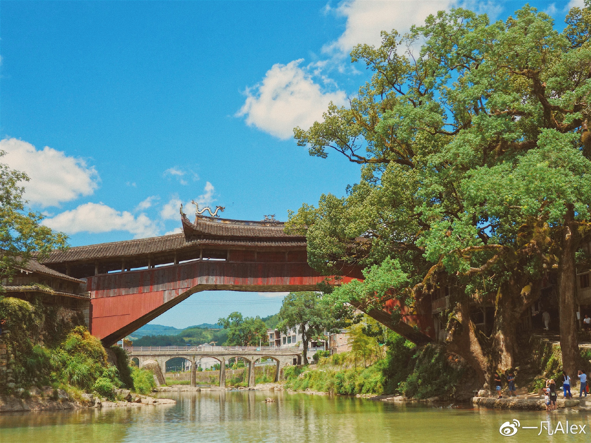 走进千年廊桥之乡，探寻泰顺文化瑰宝！