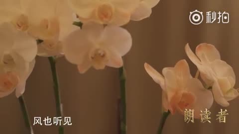 余光中最后的电视影像：朗读《民歌》献给中华民族