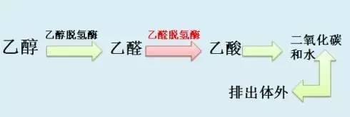 Ʋڵģоٴȷϣɶƶ°йΣ