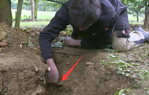 男子农场挖出奇怪硬物 一夜成为当地富豪
