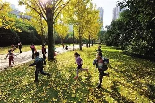 问道大渡口:怎样改变存在感较低的处境?