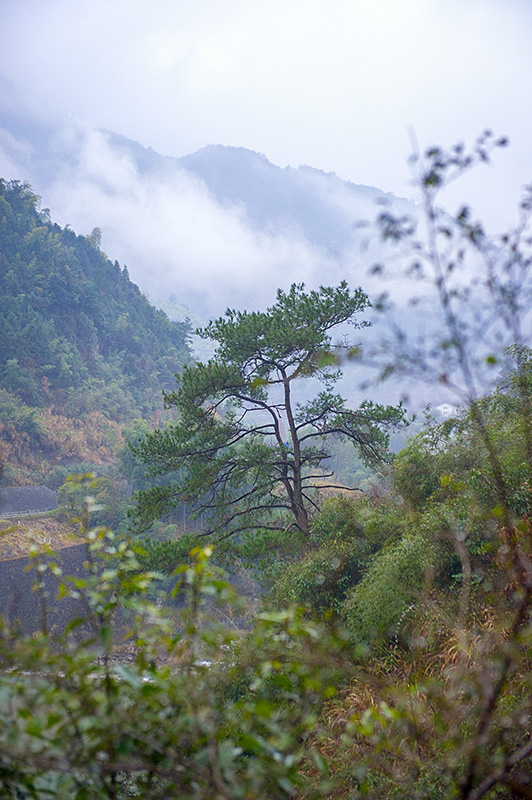 现实版的富春山居图,一夜大雪让桐庐的这座小村子美的宛如仙境!
