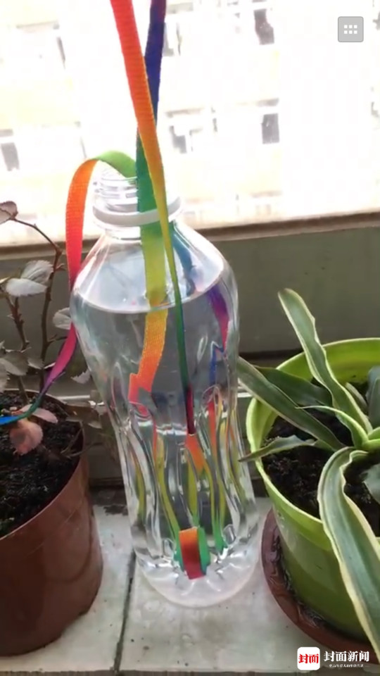 放假了养在宿舍的花花草草怎么办? 成都高校同学自制"浇水神器"走.