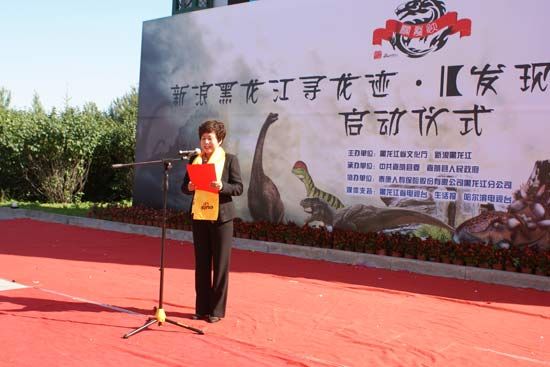 中共嘉荫县委常委、宣传部部长董丽