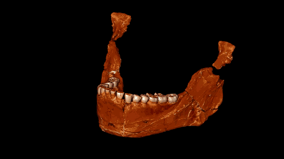 No。 3 便携式中微子探测器