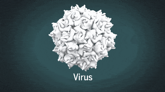 No。 9 270万年前的地球大气