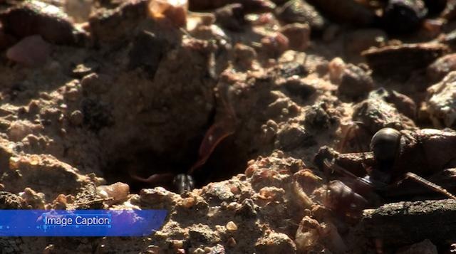 Pr cc2018新字幕功能强化