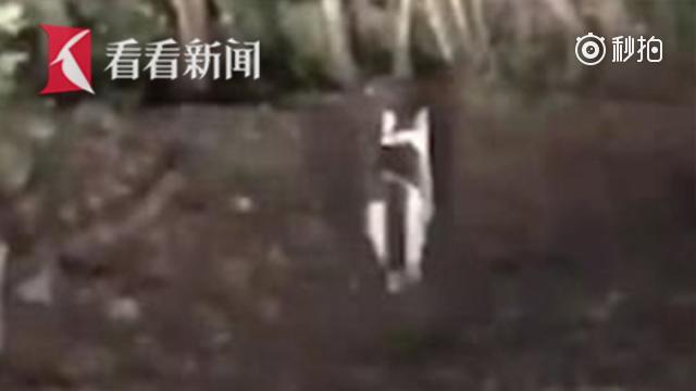 日本网友在森林里迷路 "山神猫"指路