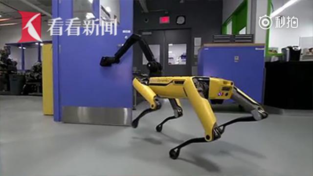 波士顿动力机器人犬 学会帮同类开门