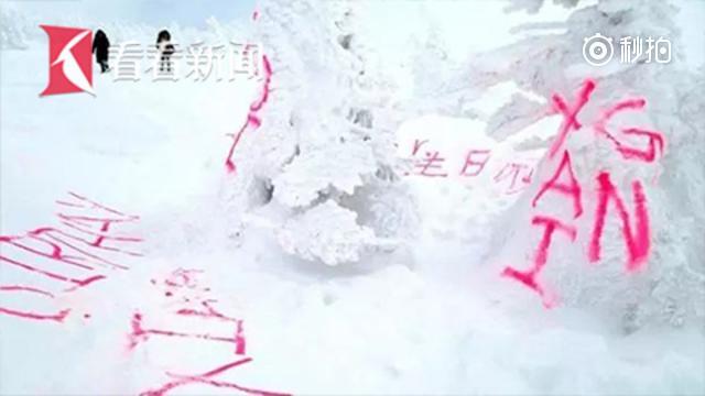 日本"树冰"遭涂鸦 缅甸"真凶"被捕