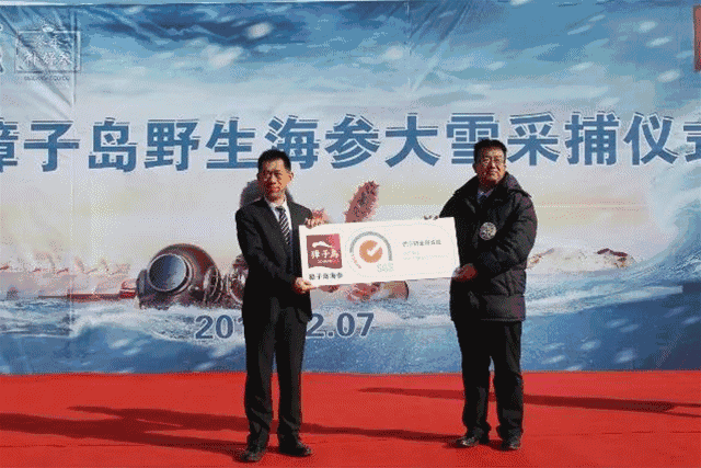 那些想靠卖海参赚钱的人,这篇文章你一定要看