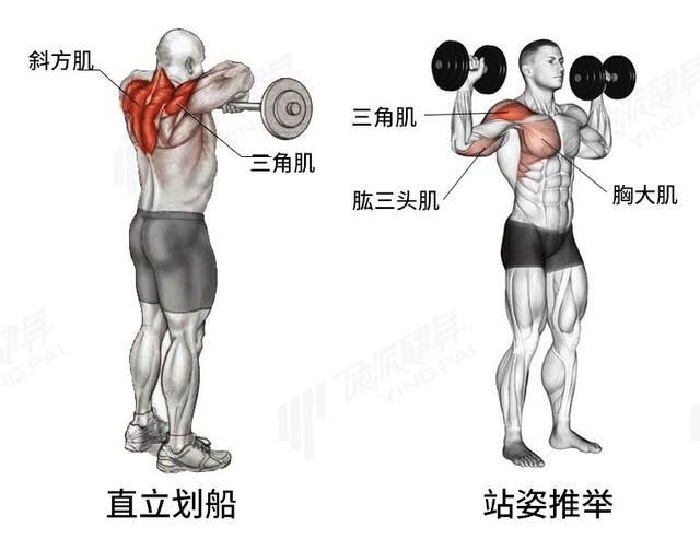 KK体育官方：牛年春节不打烊健身锻炼来这里