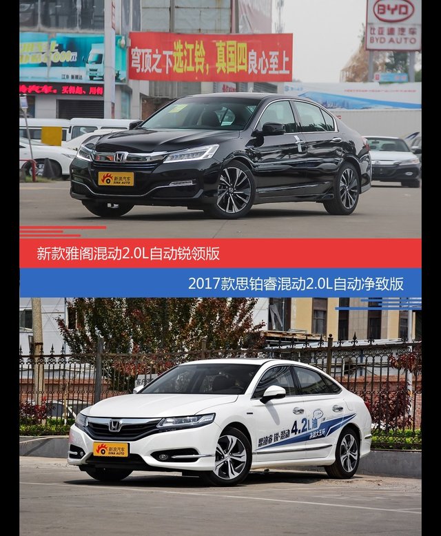 花一样的钱 雅阁和思铂睿到底该选谁