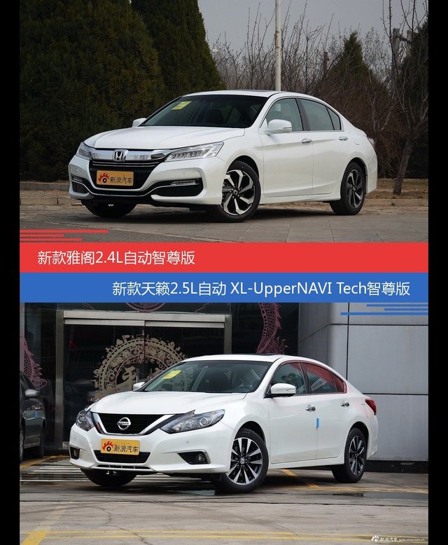 花一样的钱 雅阁和天籁到底该选谁