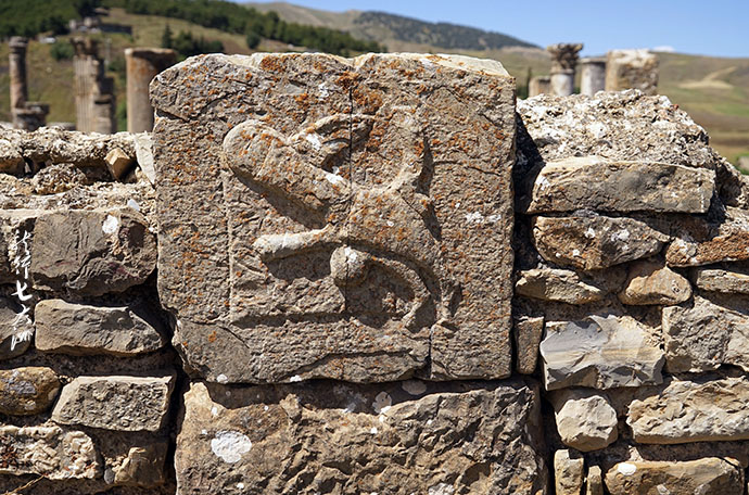 【Algeria】Traveling through the history of 2000--visiting the ancient city of Jamila