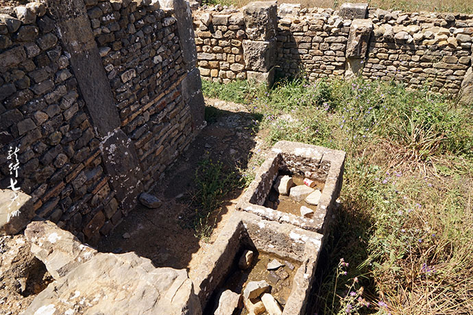 【Algeria】Traveling through the history of 2000--visiting the ancient city of Jamila