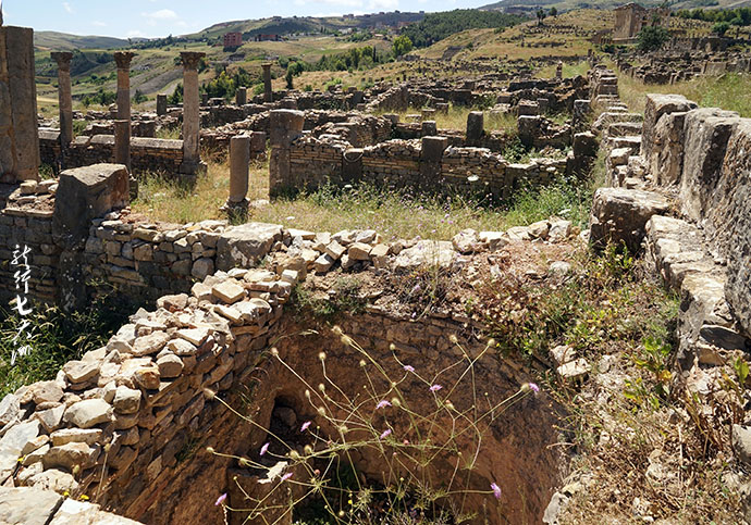 【Algeria】Traveling through the history of 2000--visiting the ancient city of Jamila