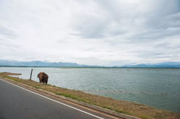 奇特的住宿体验，住进没有房卡只有房号的地方