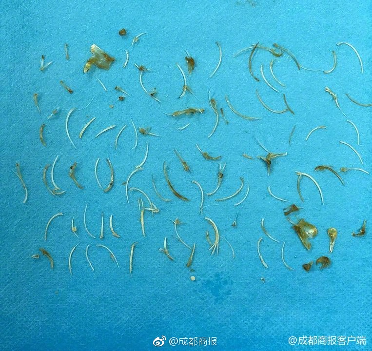 我的孝心大有问题——小纯的在线视频观影指南