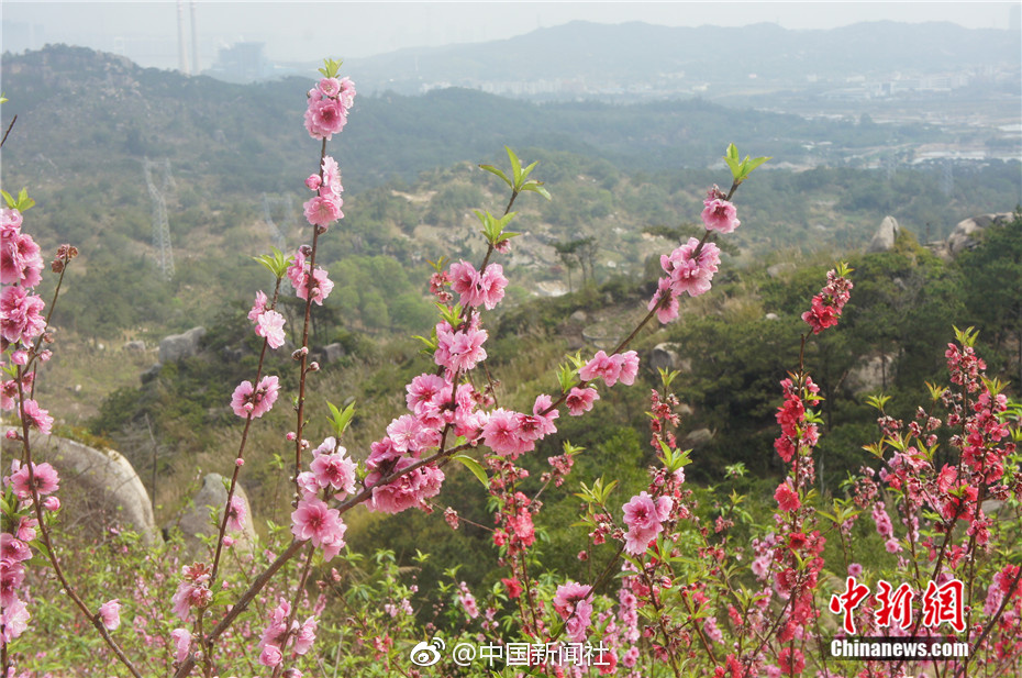 想学做家常菜去哪里学