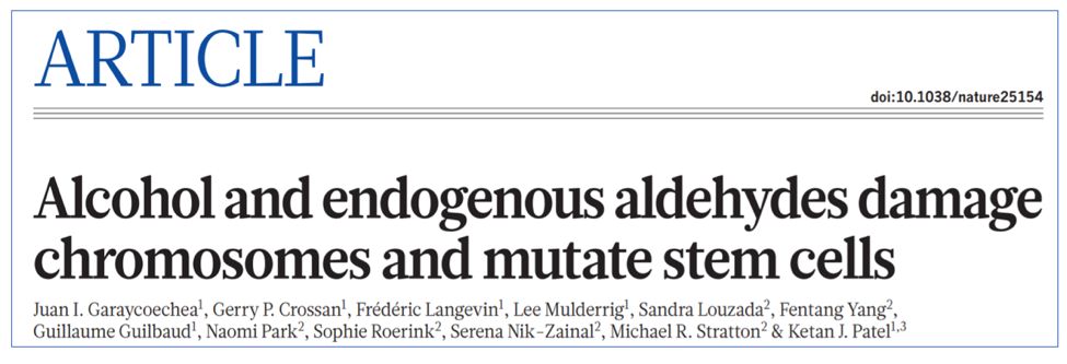 Ʋڵģоٴȷϣɶƶ°йΣ